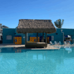 How To Win Free Stuff Tonight