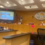 Council Rejects Single Member District Idea