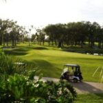 What if You Had 175 Acres To Play Around With?