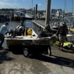 Hundreds of Pounds of Debris Removed