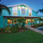 Wicked Dolphin Wins Again