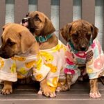 Join Us Every Friday at Hooked Island Grill